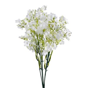 white gypsophila flowers