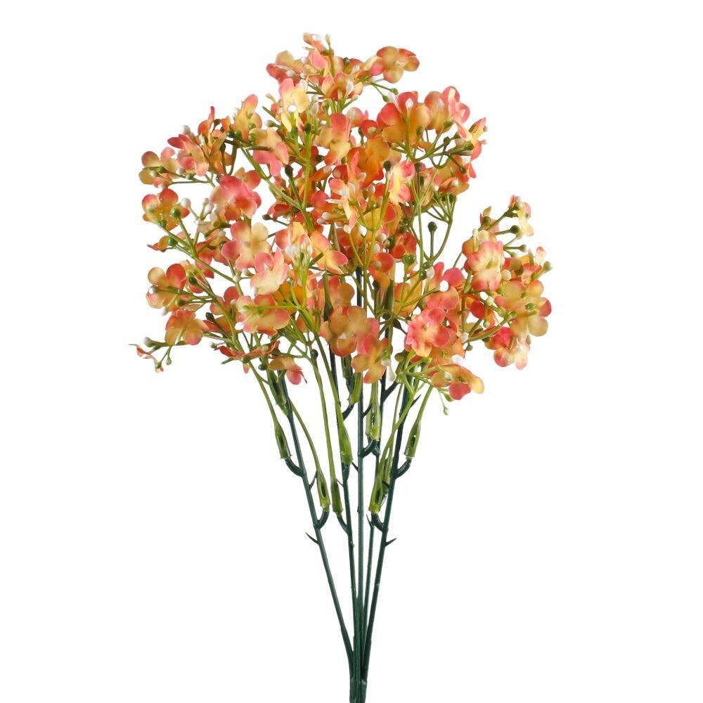 gypsophila flowers