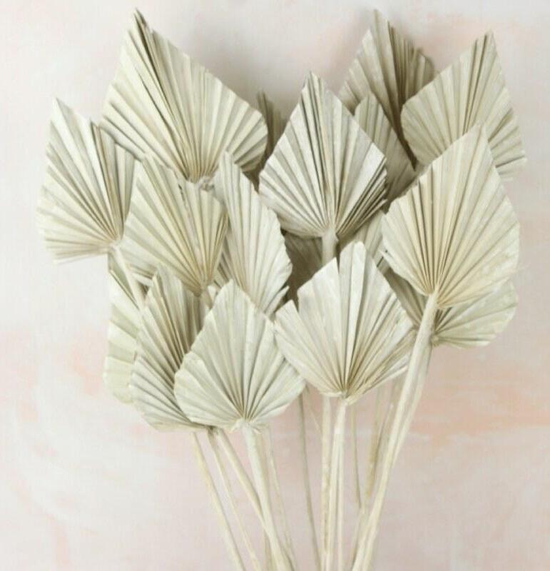 white dried palm spear floral decoration