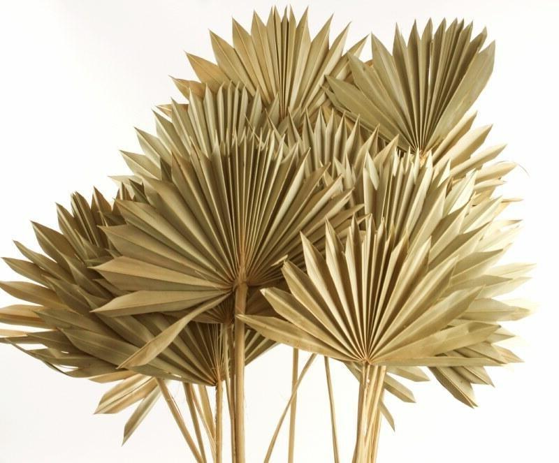 natural dried sun spear florist bouquet accessory