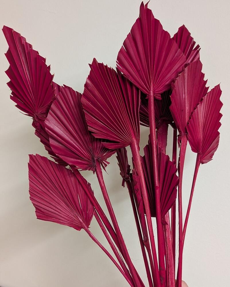 dried palm spears red decoration