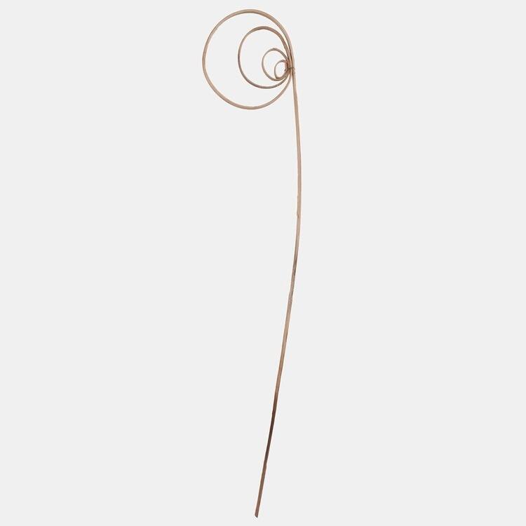 dried cane coil stem decoration
