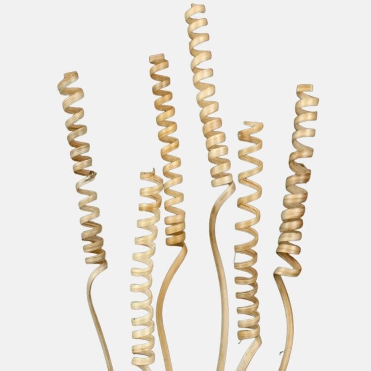 natural dried cane spring stem for floral decoration
