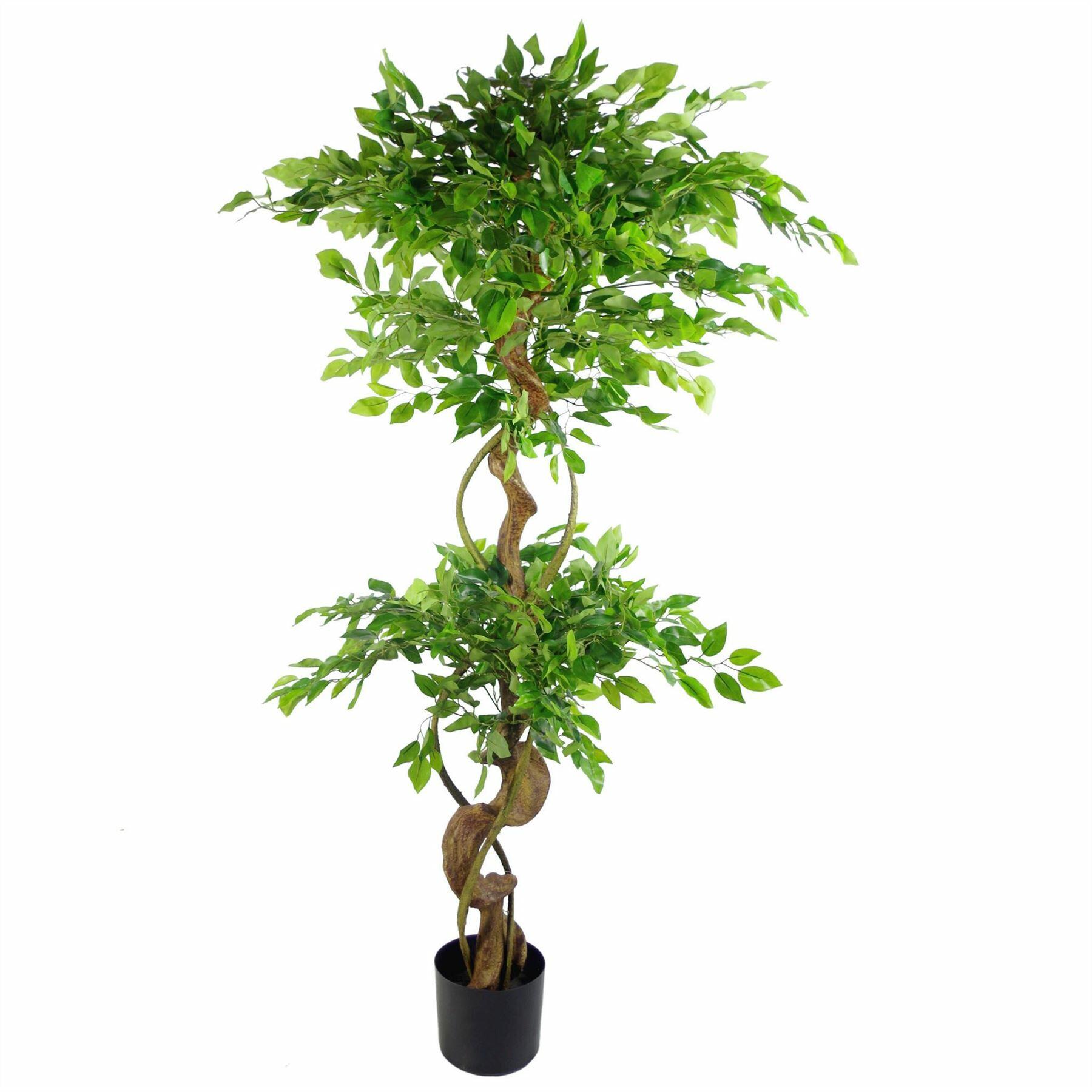 Artificial Japanese Fruticosa Style Ficus Tree