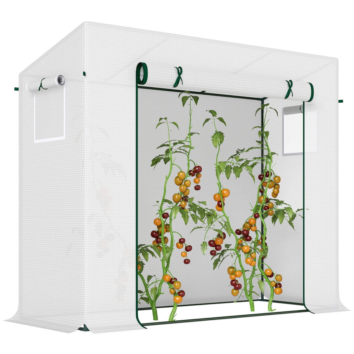 walkin garden greenhouse plant warm house with roll up door