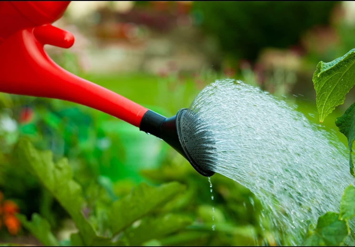 watering can