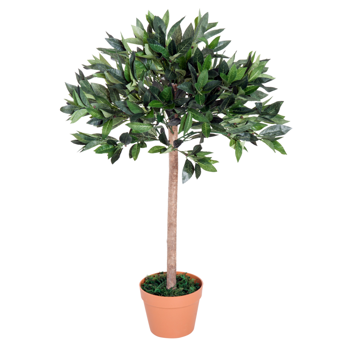 artificial olive tree plant
