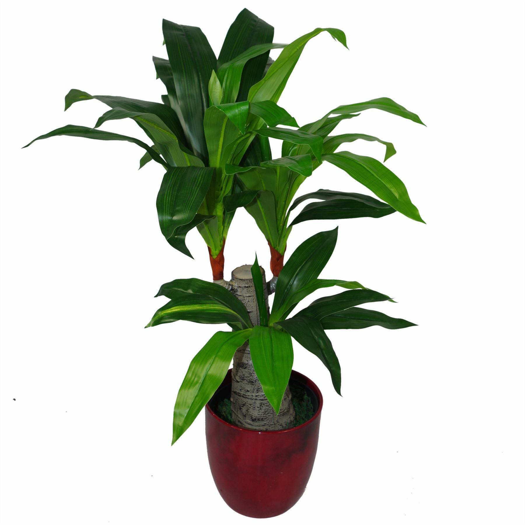 Artificial Dracaena Plant