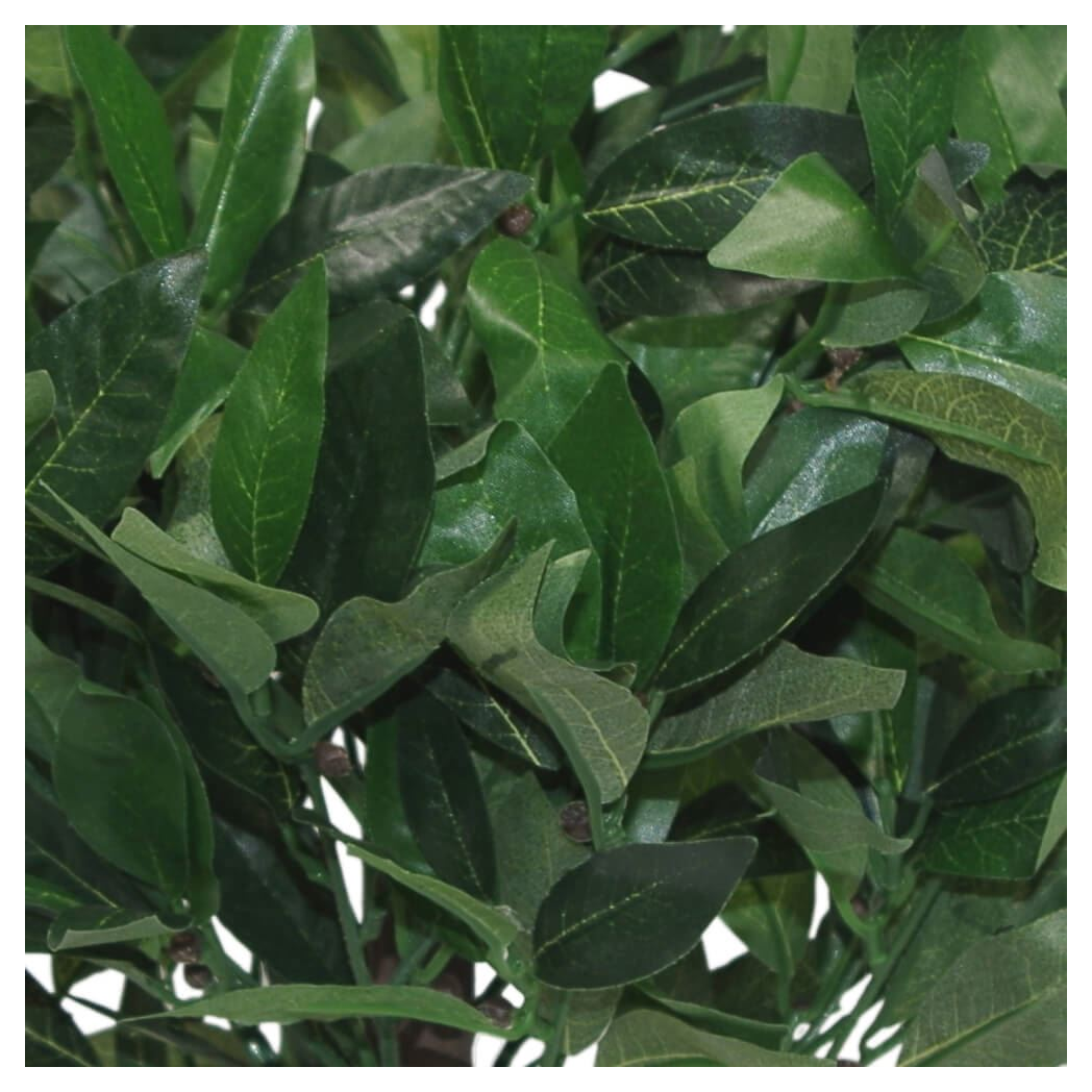 Dwarf Artificial Bay Trees
