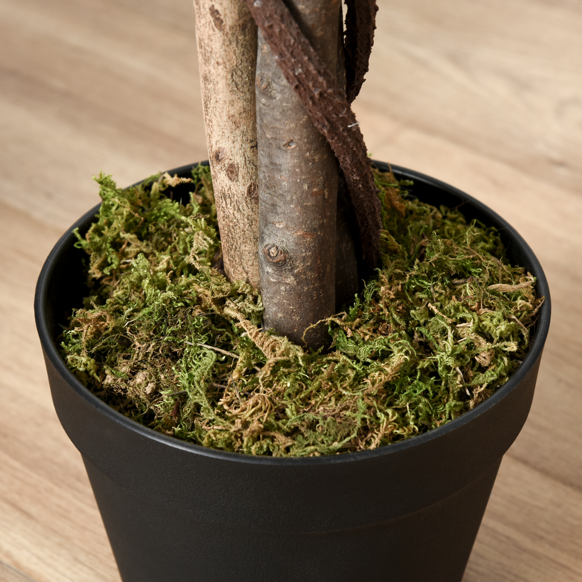Artificial Ficus Silk Tree