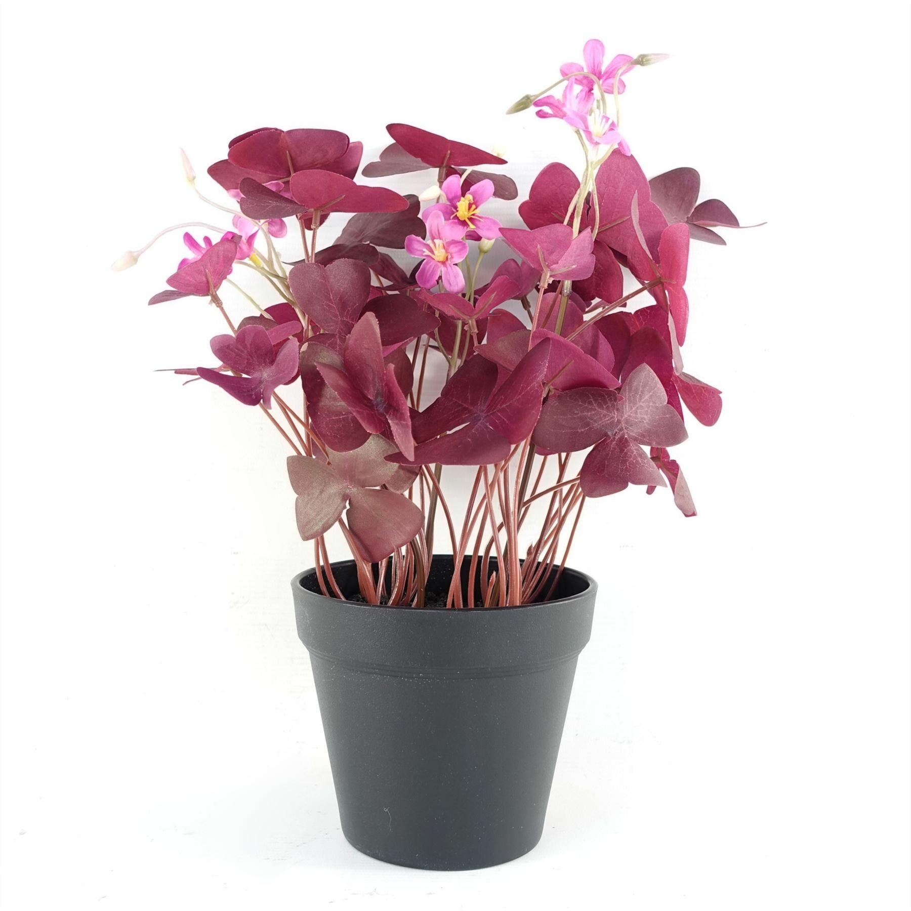 Artificial Plant Purple Shamrock Pink