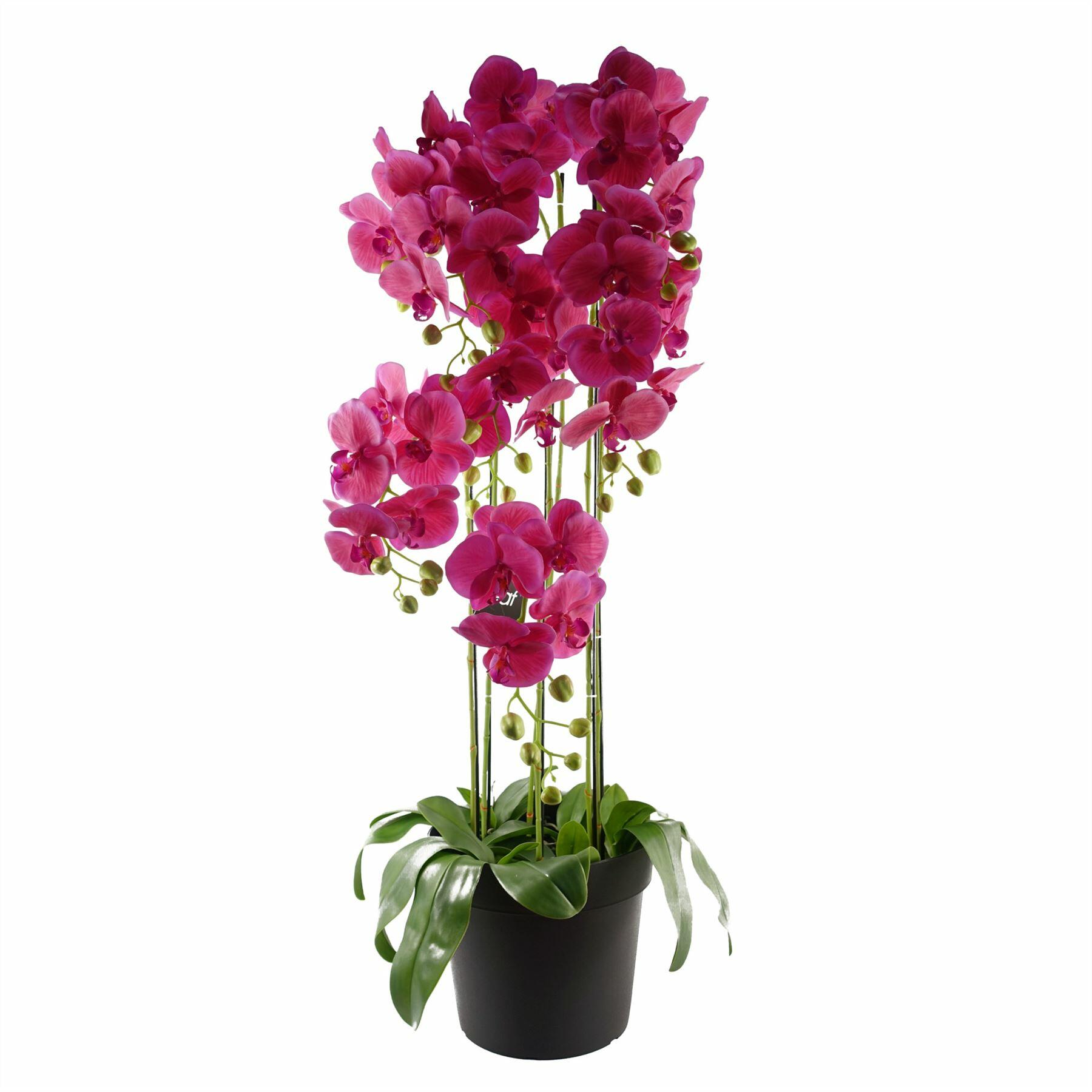 110cm Large Pink Orchid Plant