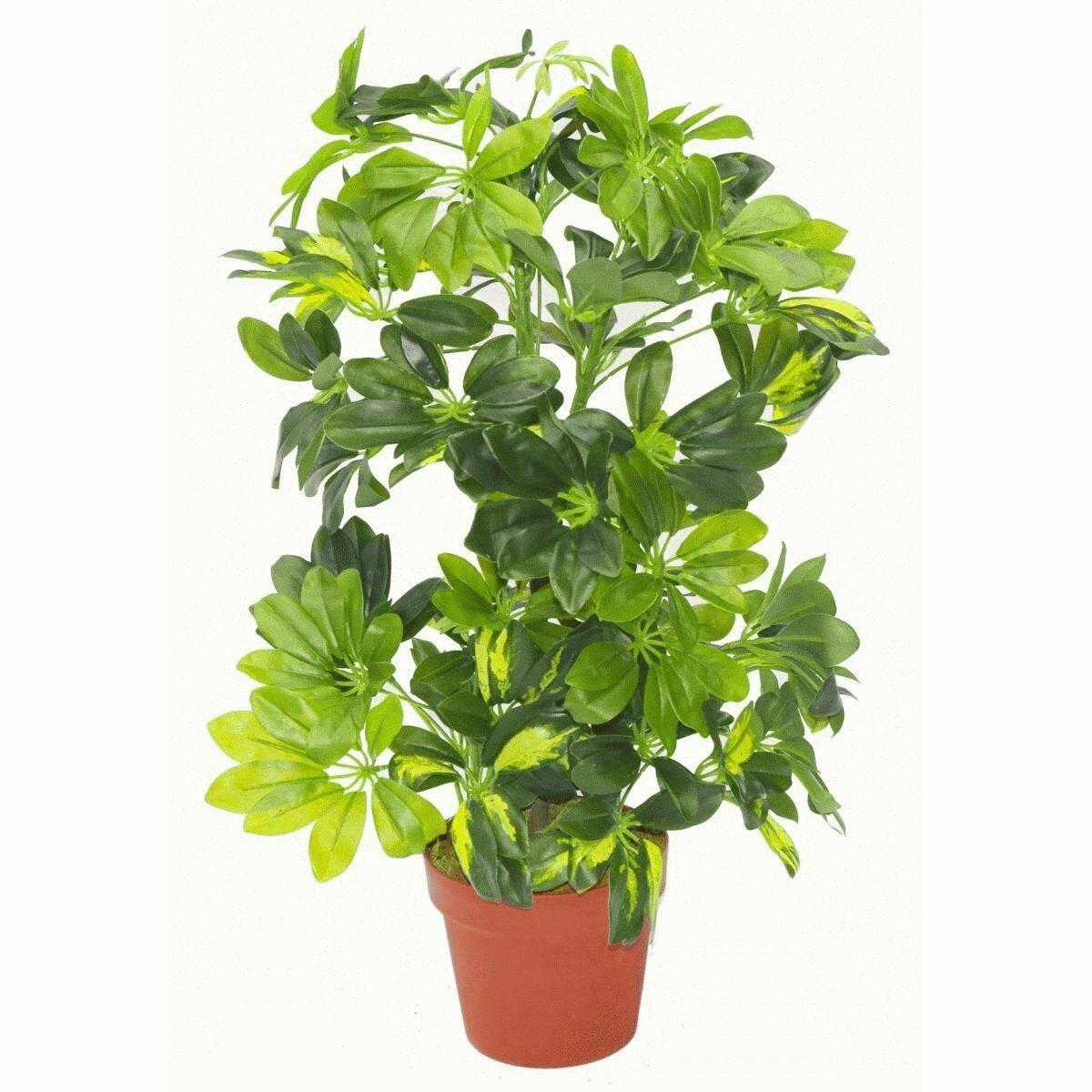 75cm Artificial Arboricola Gold Capella Plant - Gold Metal Planter