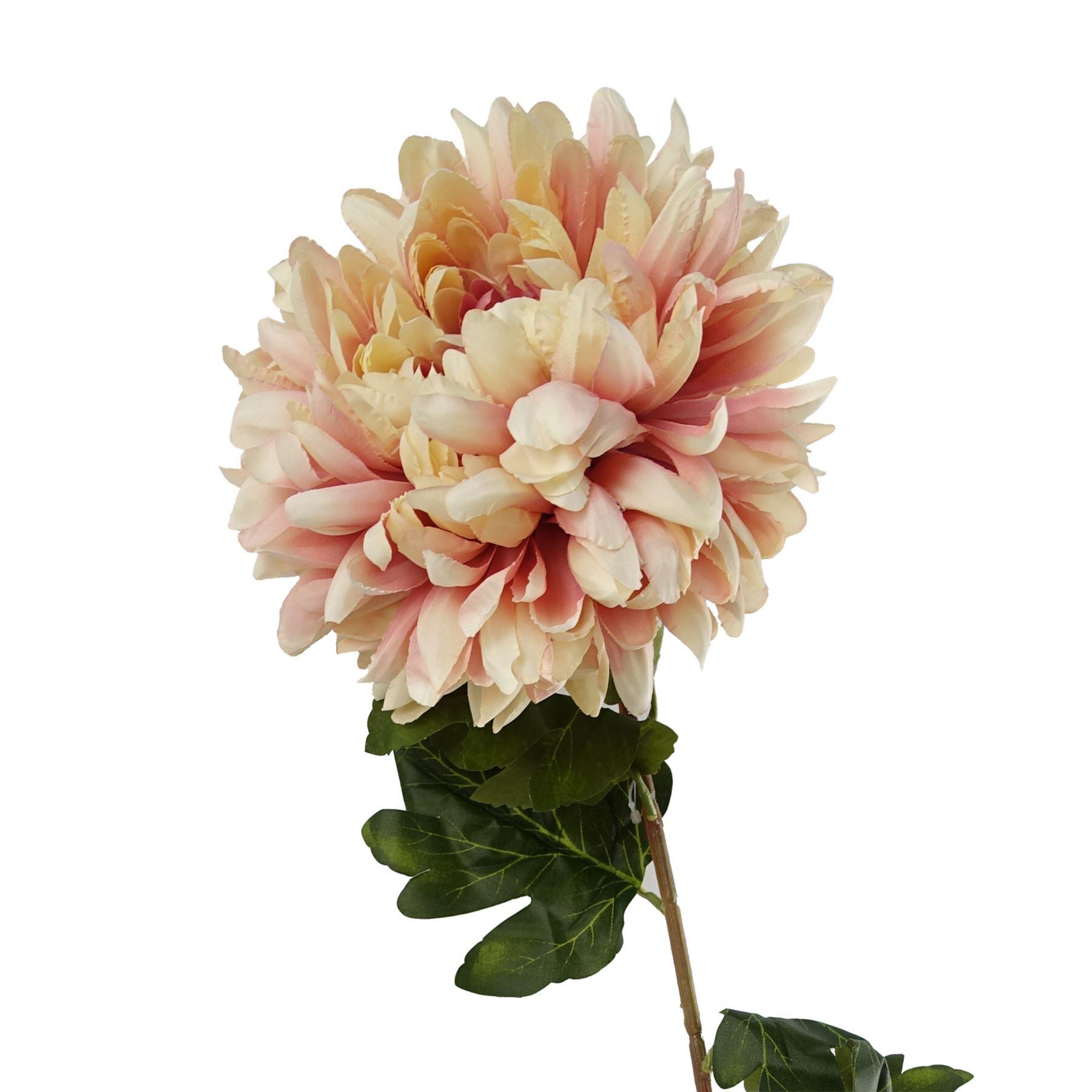 75cm extra large reflex chrysanthemum pink view 1
