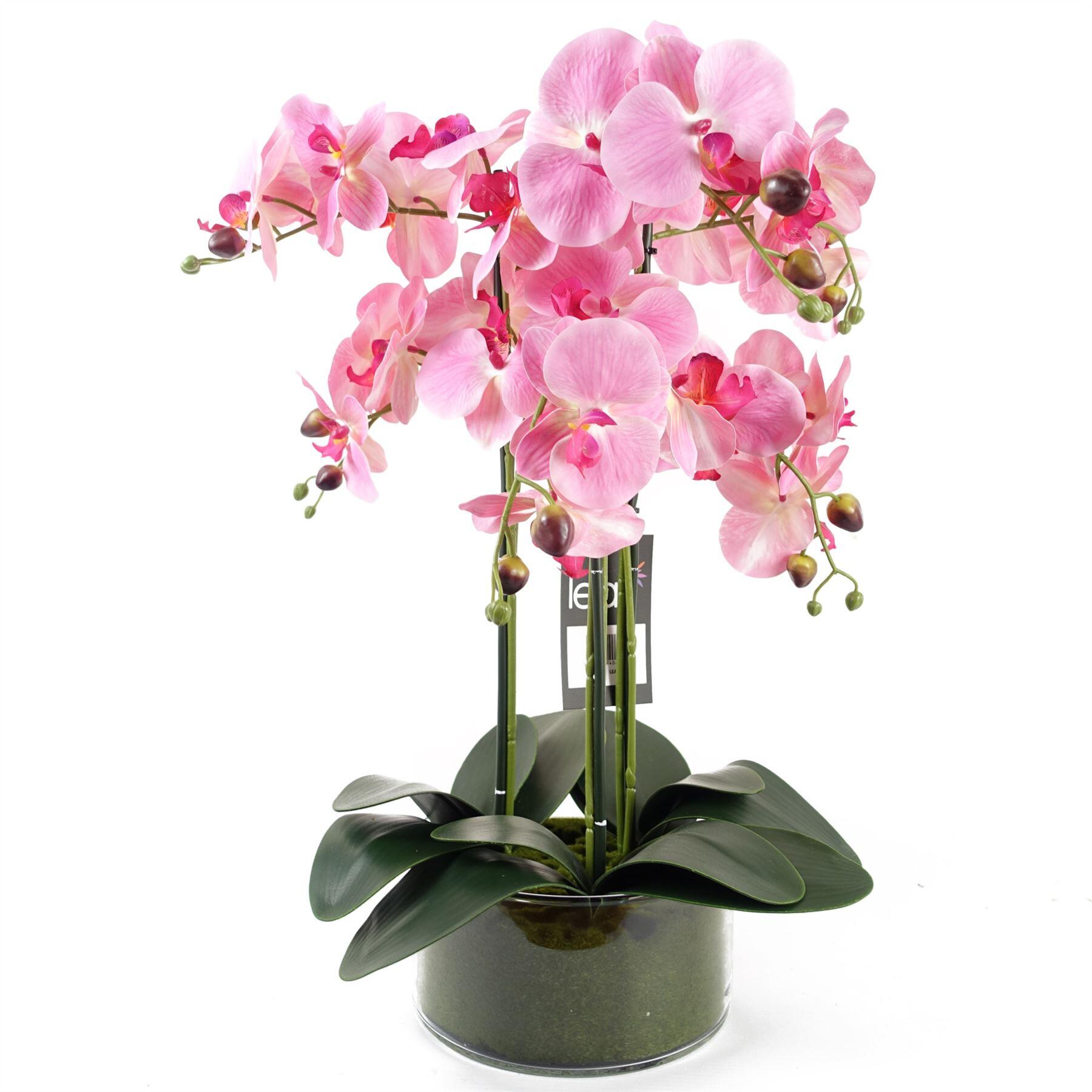 image of 50cm artificial orchid with glass planter pink