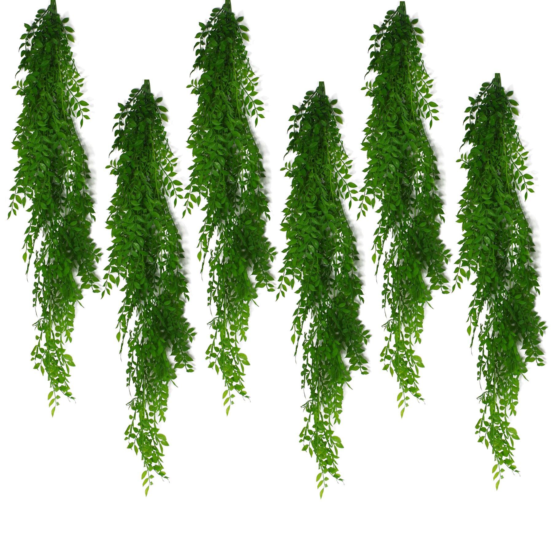 image showing 6 x 100cm hanging string of pearls fern plant light green