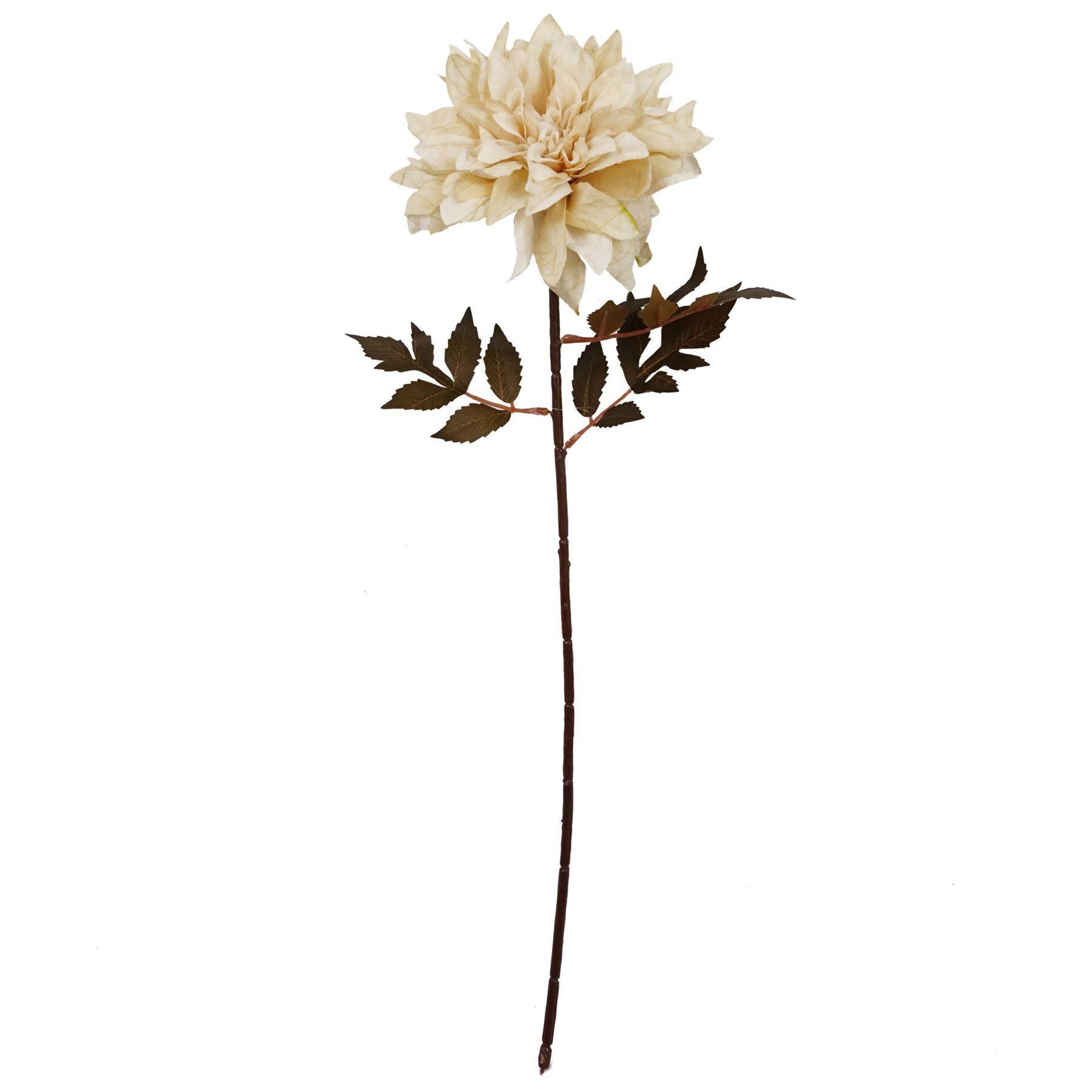 angled view of 55cm dahlia flower stem - dusty cream