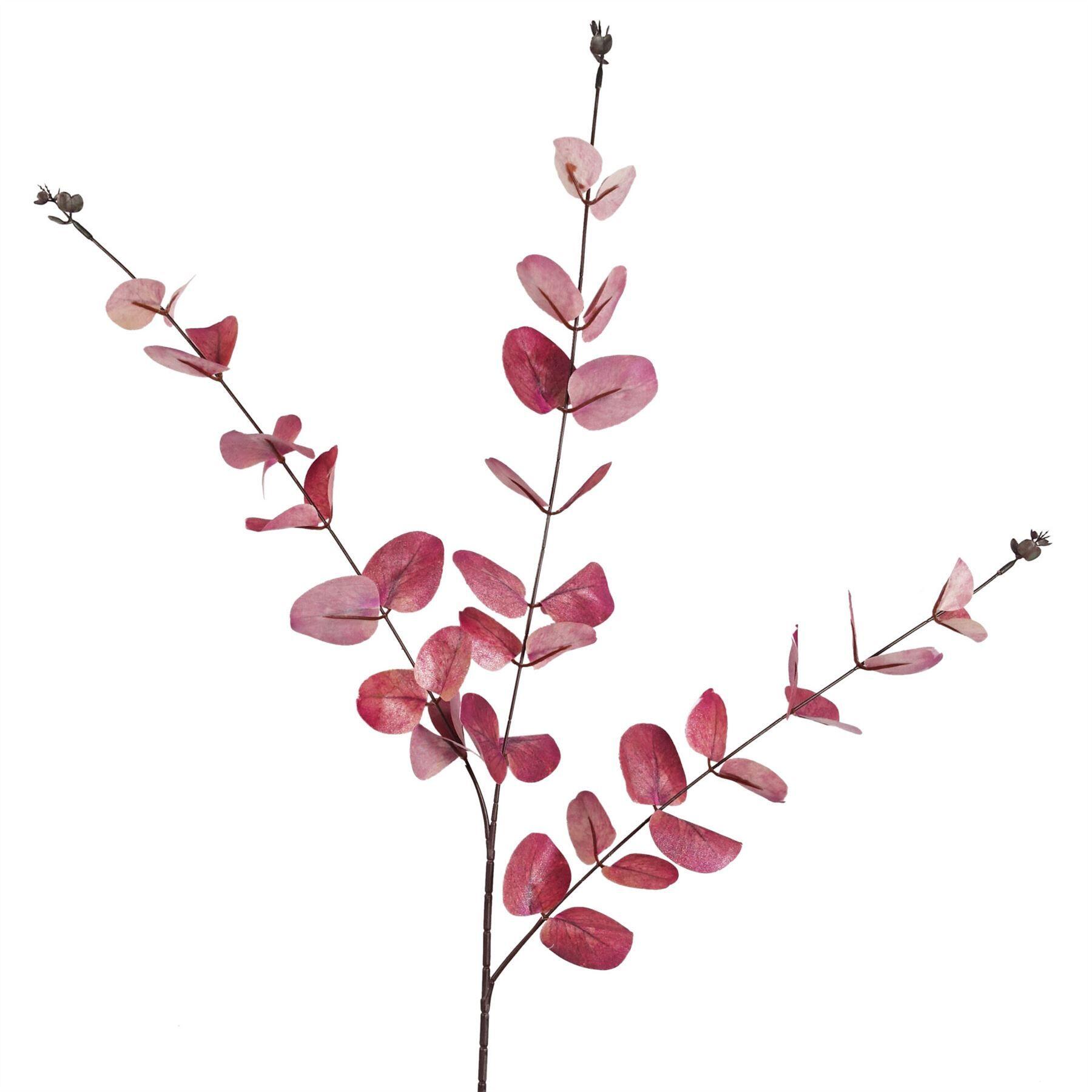 image showing 80cm pink eucalyptus foliage stem