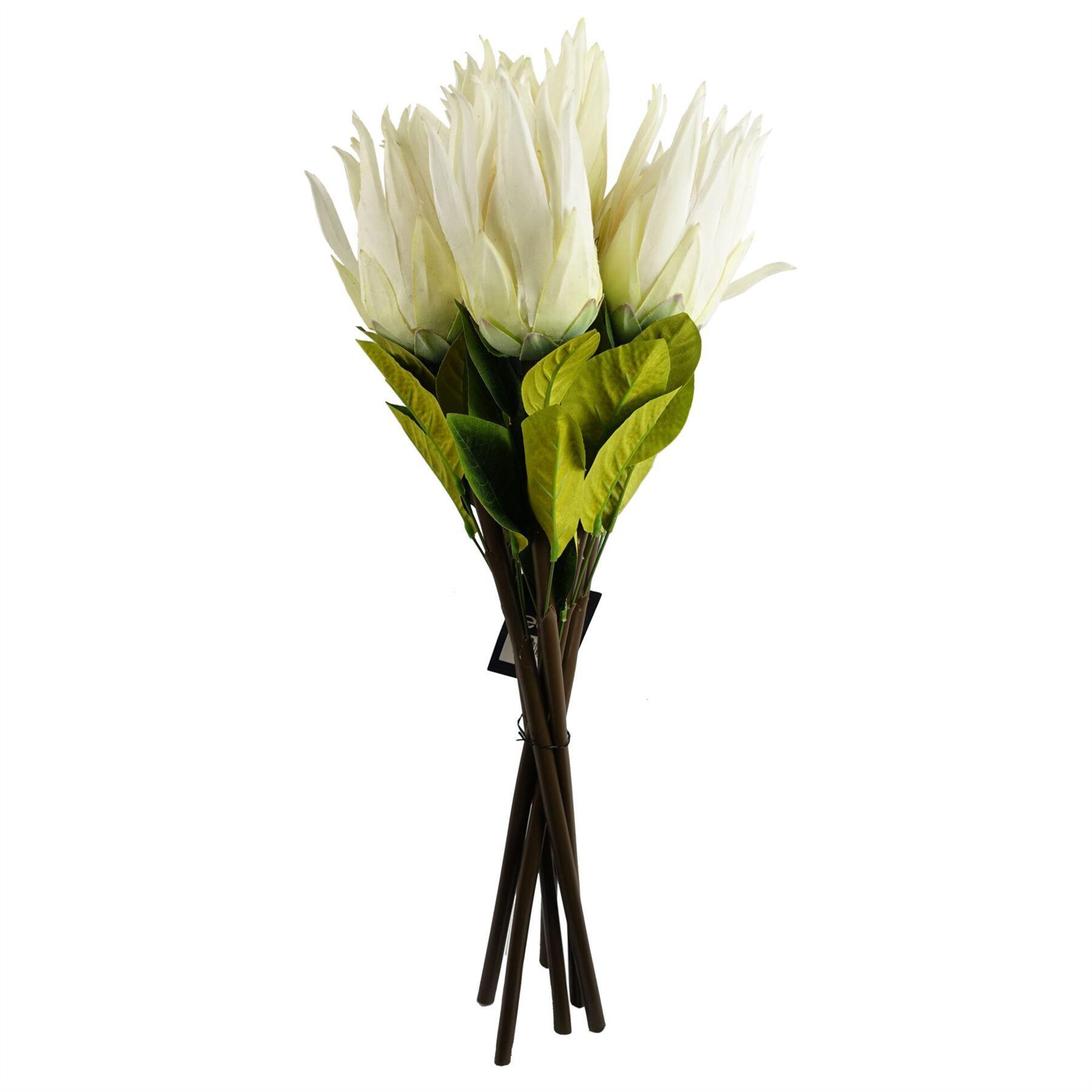 product image showing 65cm protea sugarbush flower stem - white in use