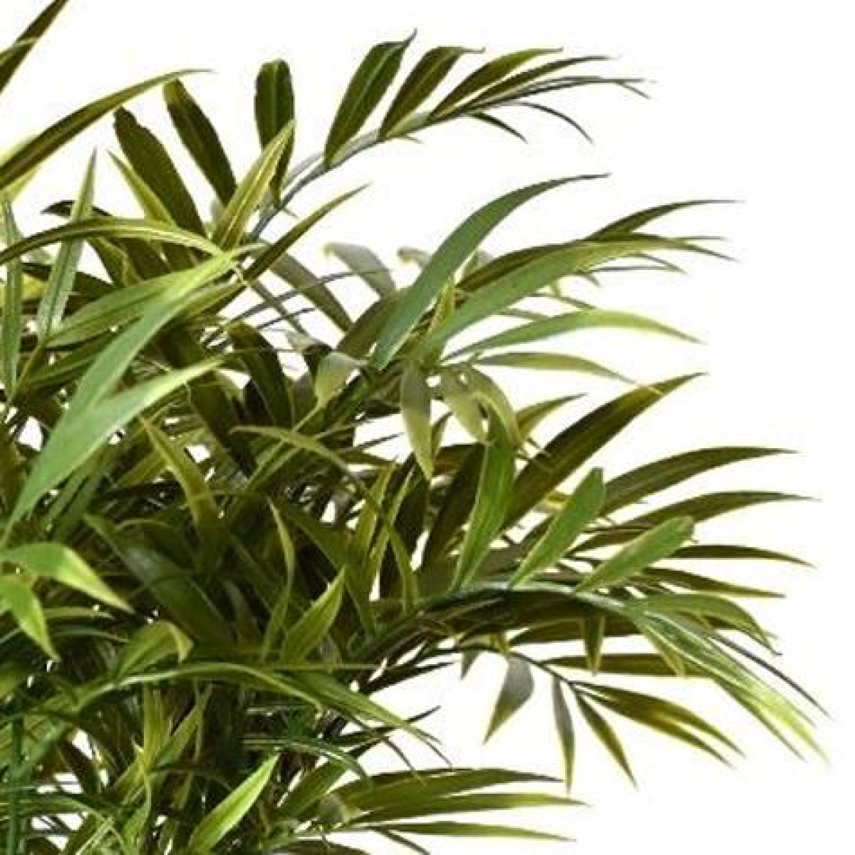 40cm Fire Retardant Artificial Palm Tree Stem alternative style 2