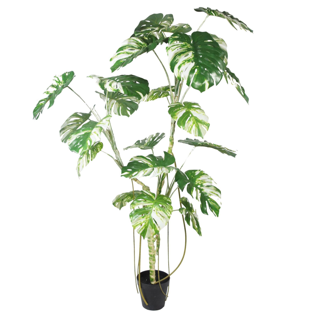 210cm tree monstera realistic artificial variegated product image