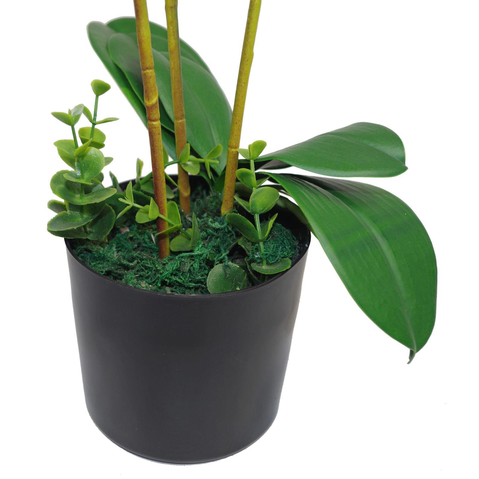 orchid realistic stem 60cm artificial plant -triple product image