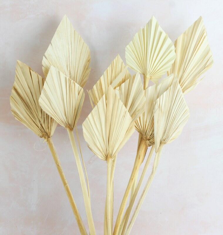 palm spear dried flowers