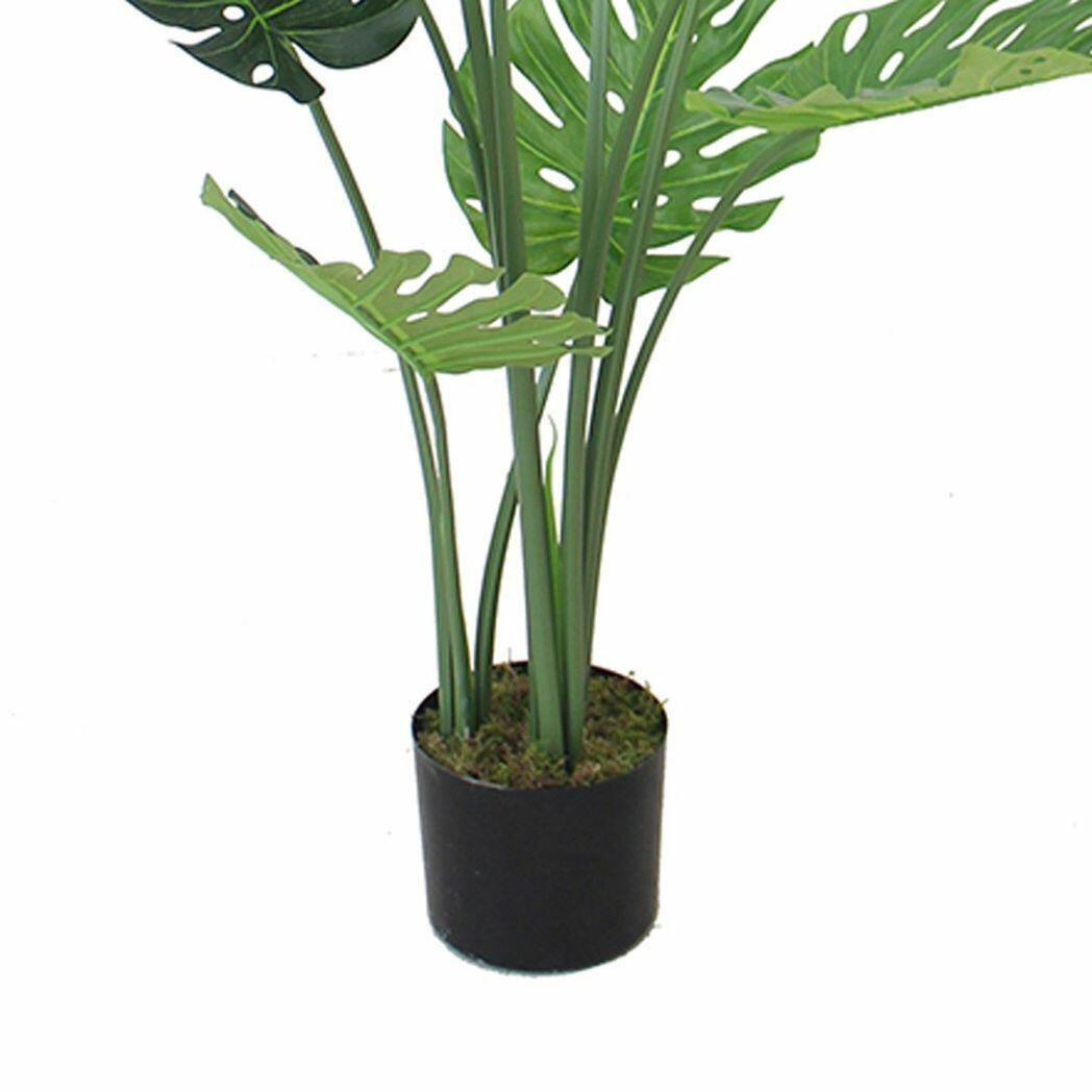 Luxury Monstera Plant