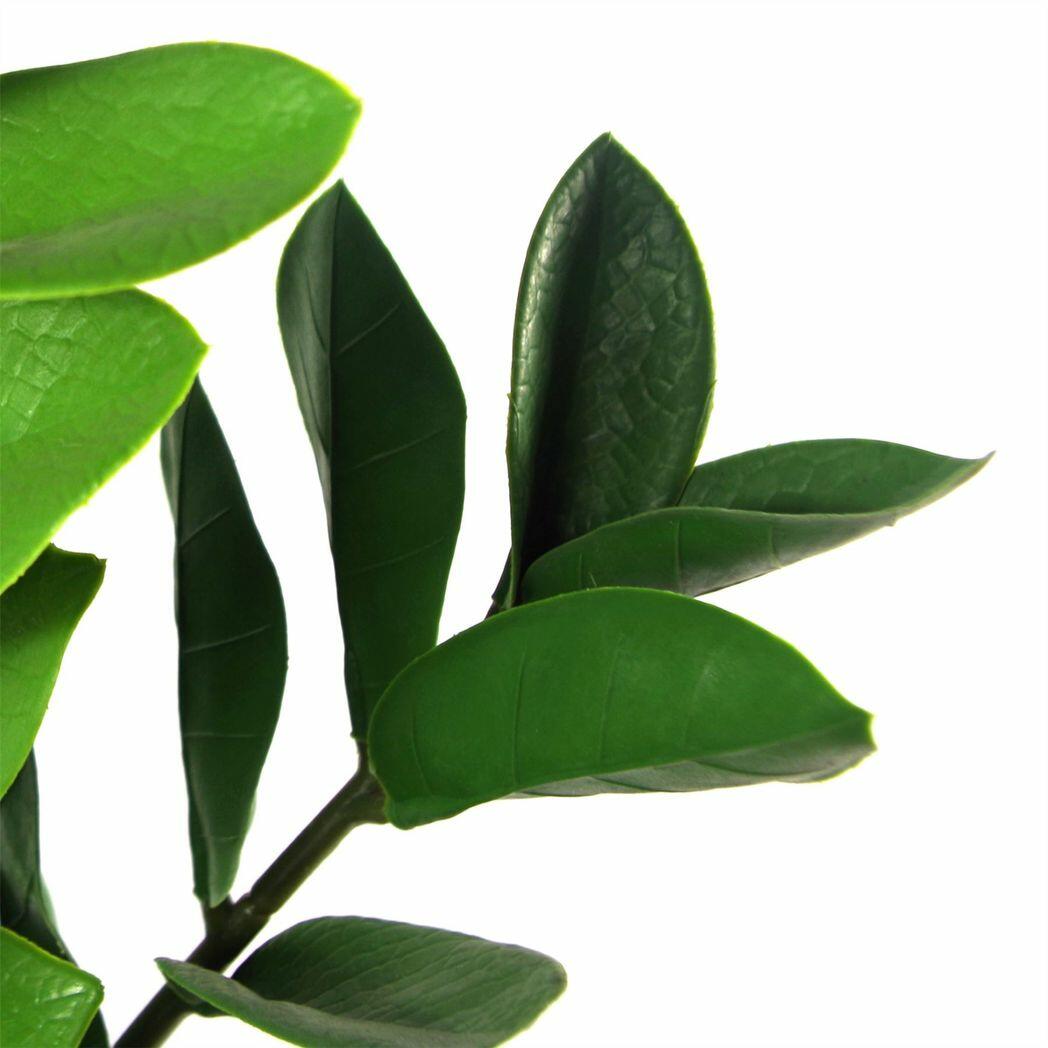 Artificial Zanzibar Green Gem Zamioculcas Succulent Indoor Plant