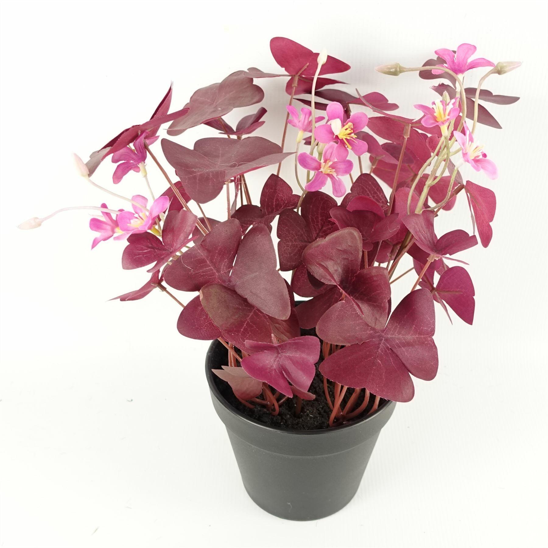 Artificial Plant Purple Shamrock Pink