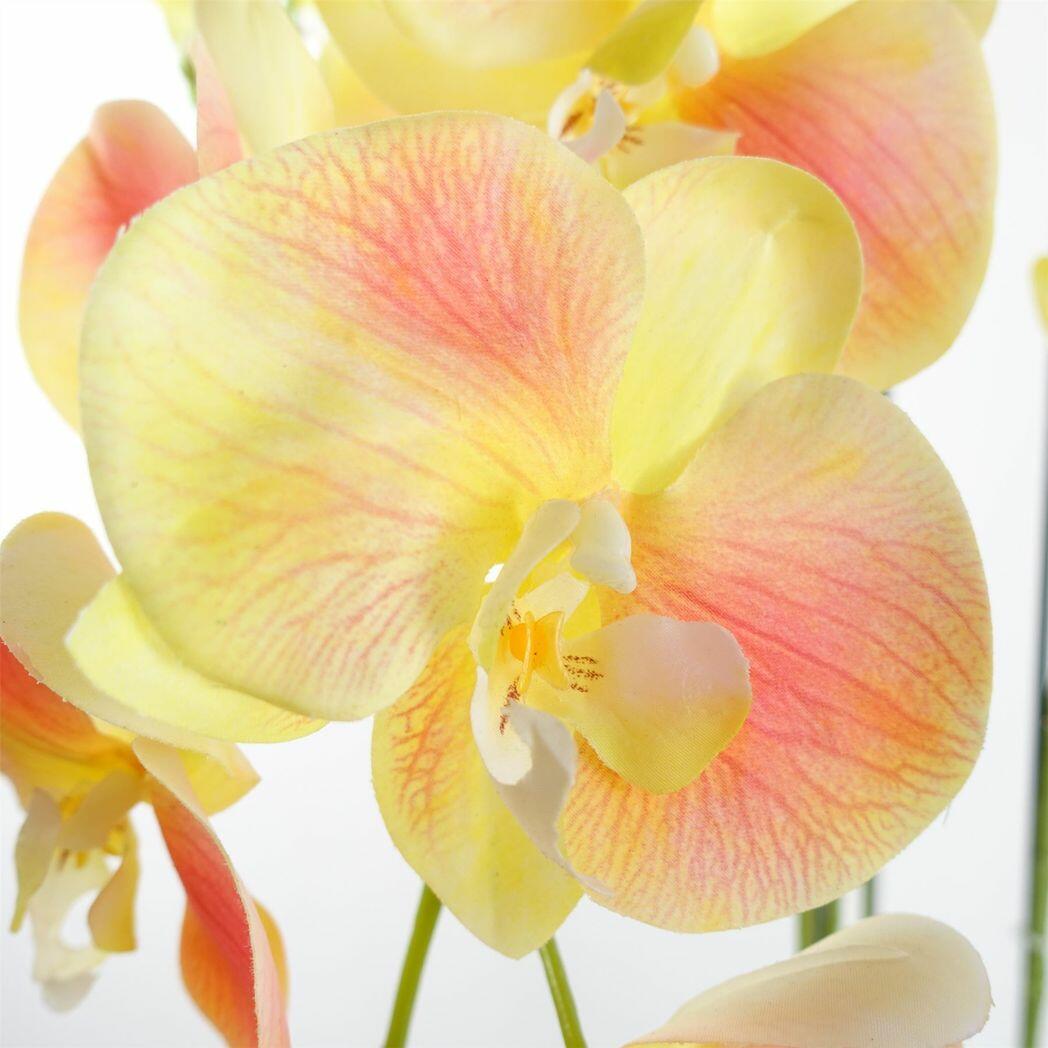 Yellow Peach Orchid Plant Artificial Real Touch Flowers