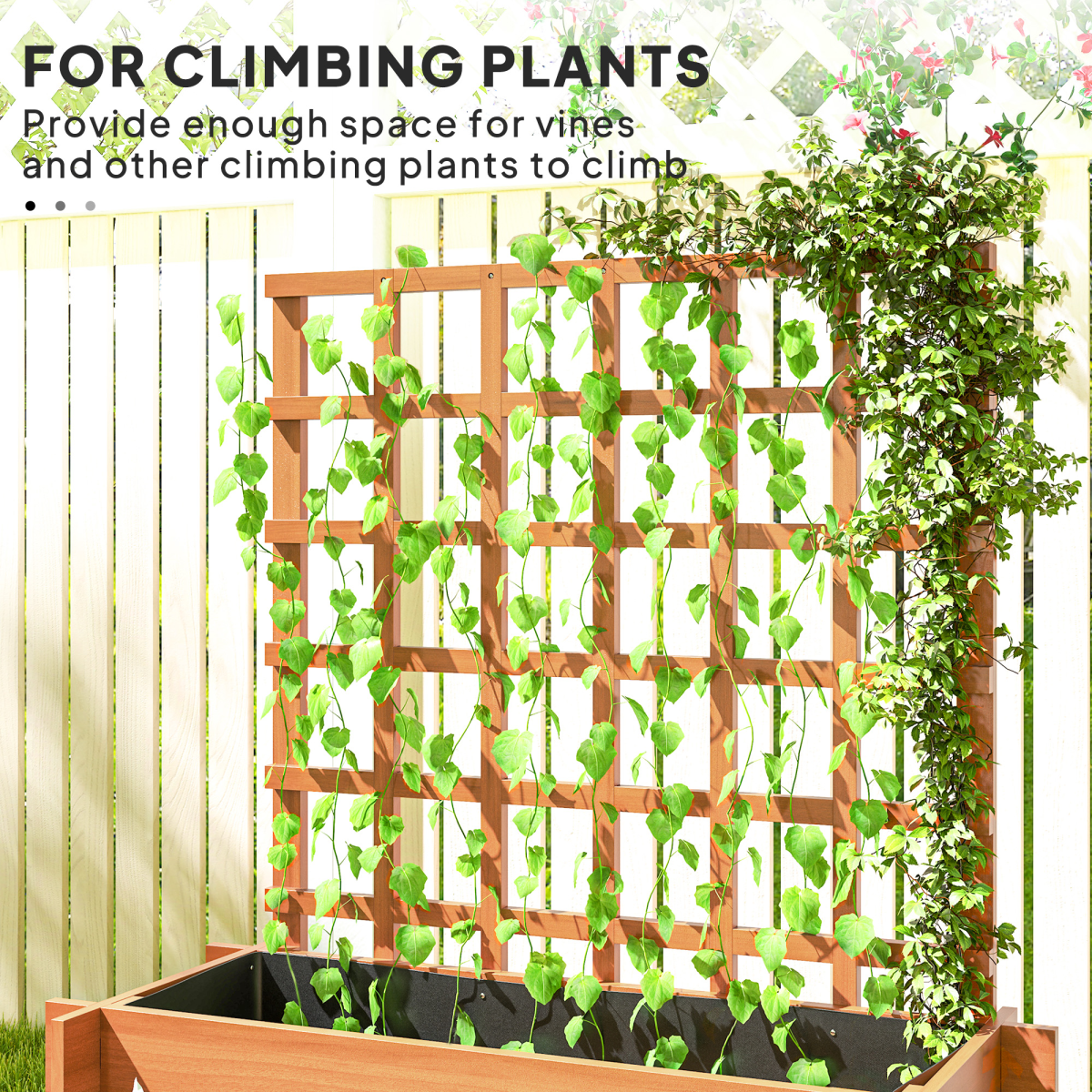 Climbing Plant Trellis with Planters