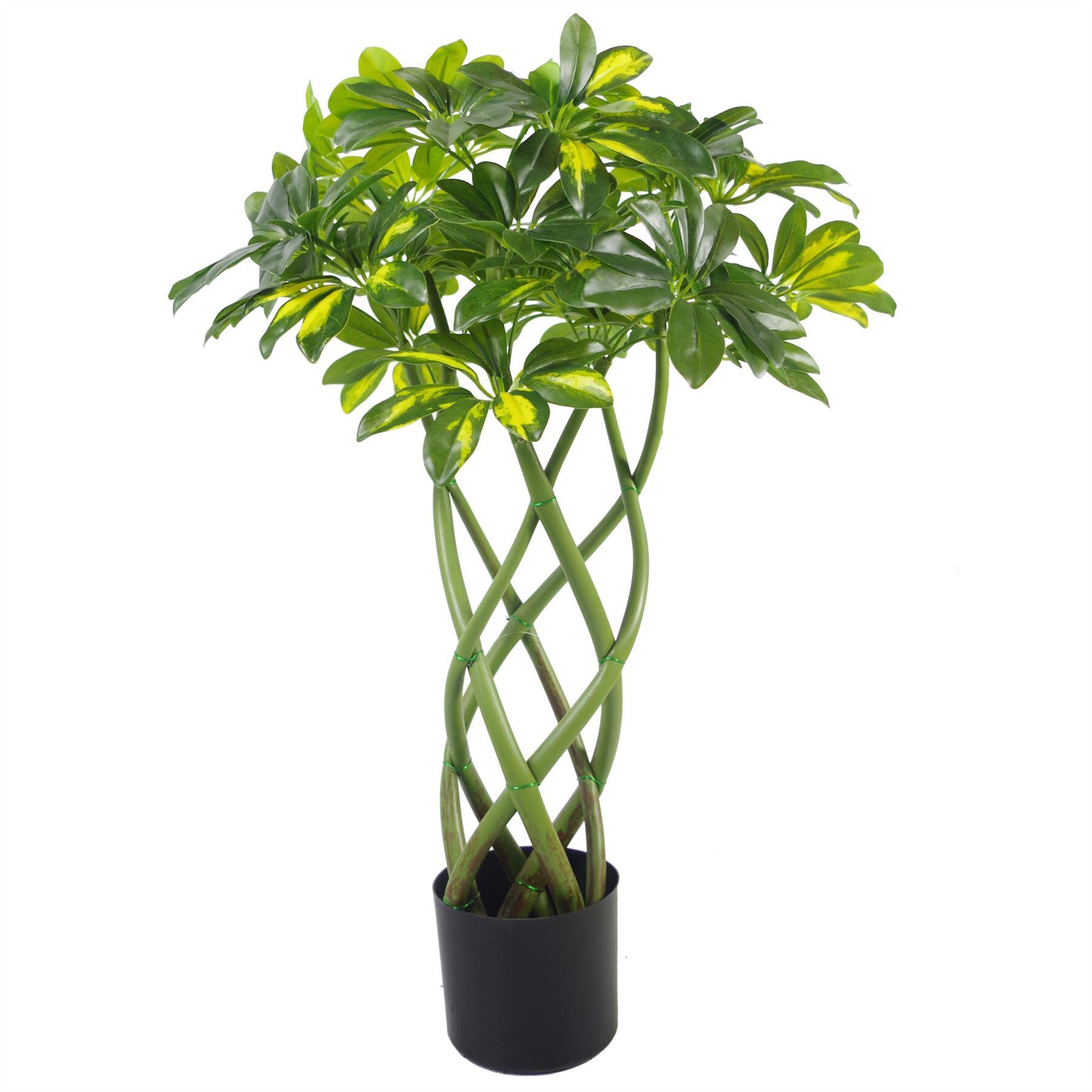 70cm artificial twisted stem gold capella arboricola artificial view 2