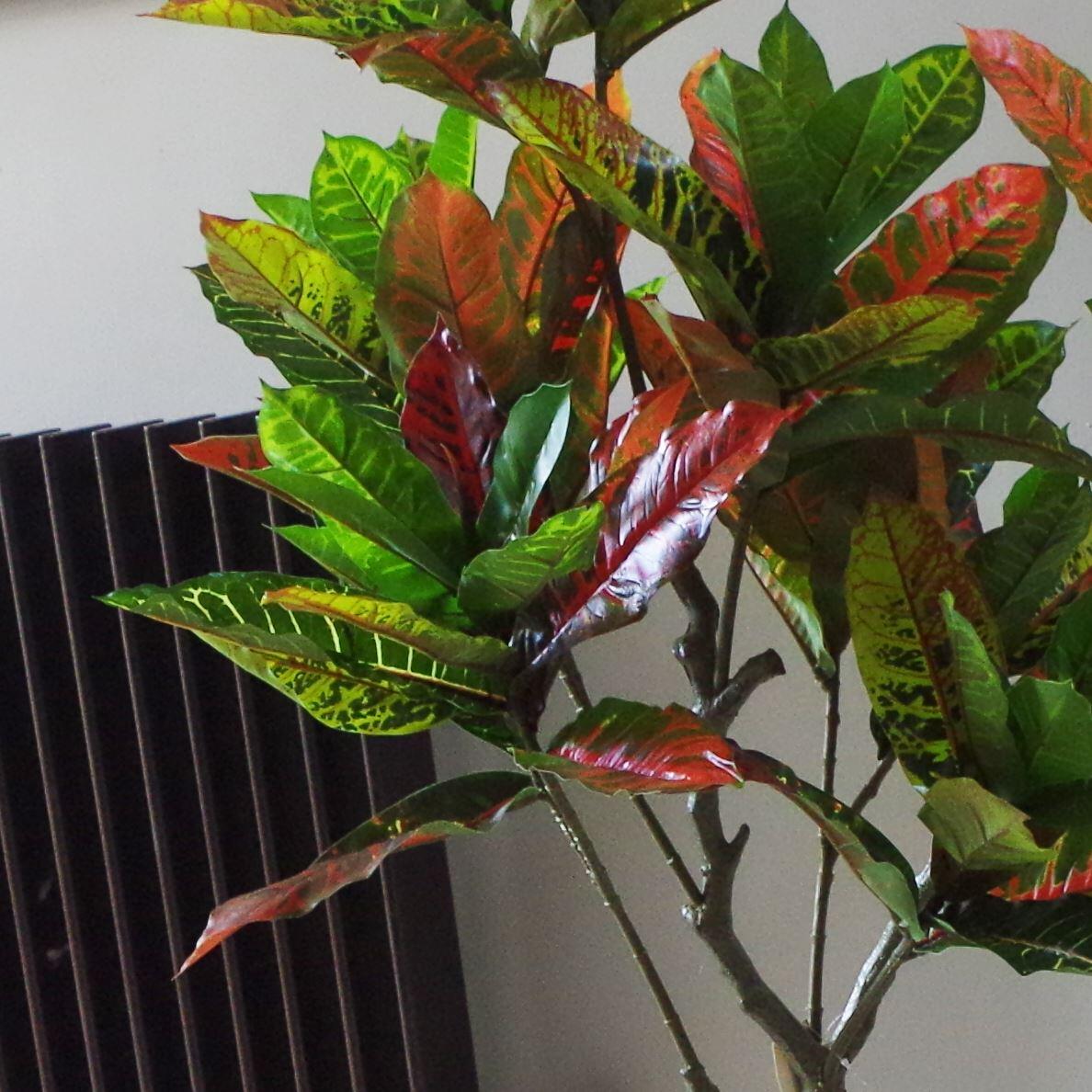 image of 130cm artificial codiaeum multicoloured tree view 2
