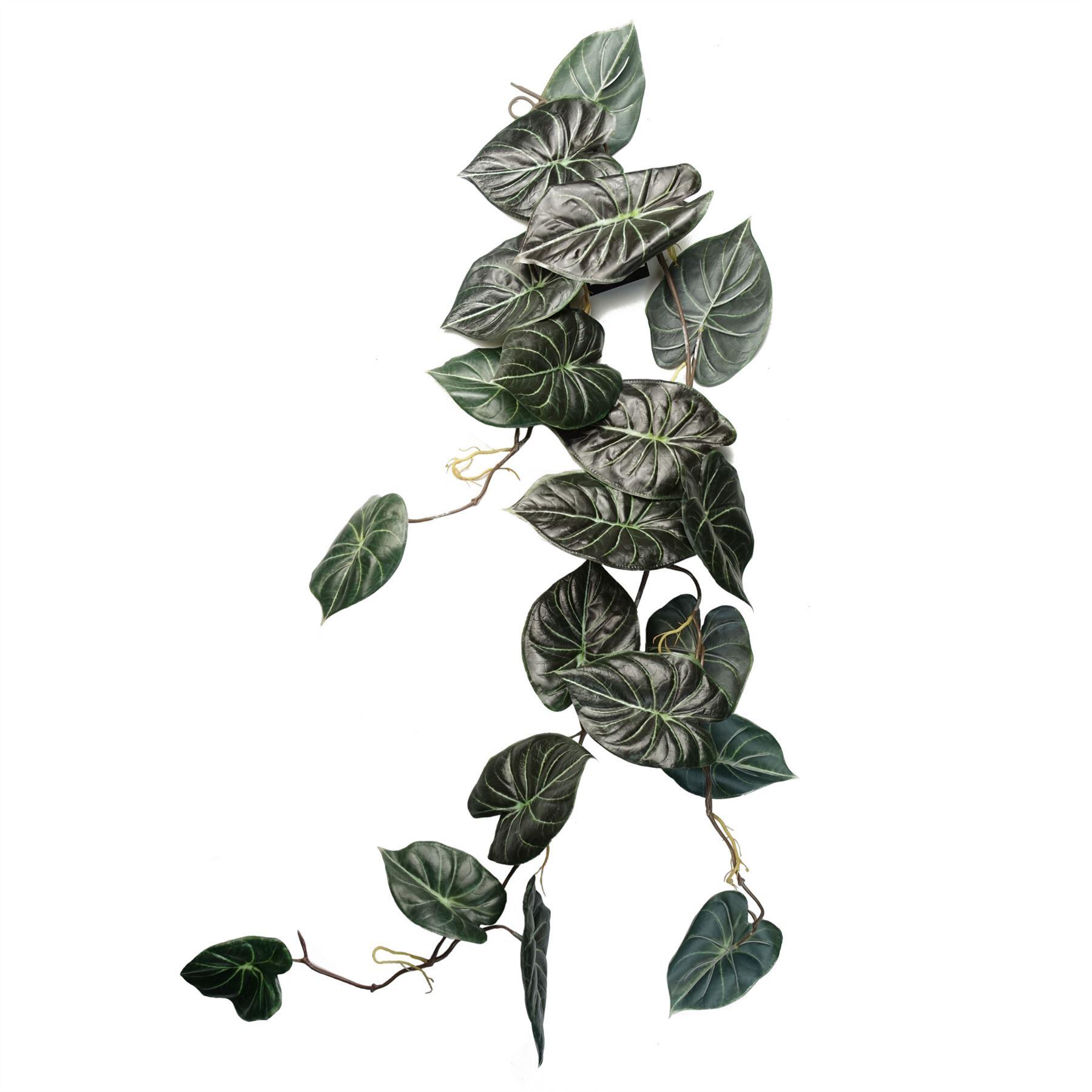 image of 6 x 120cm artificial hanging trailing plant alocasia dragon scale dark view 2