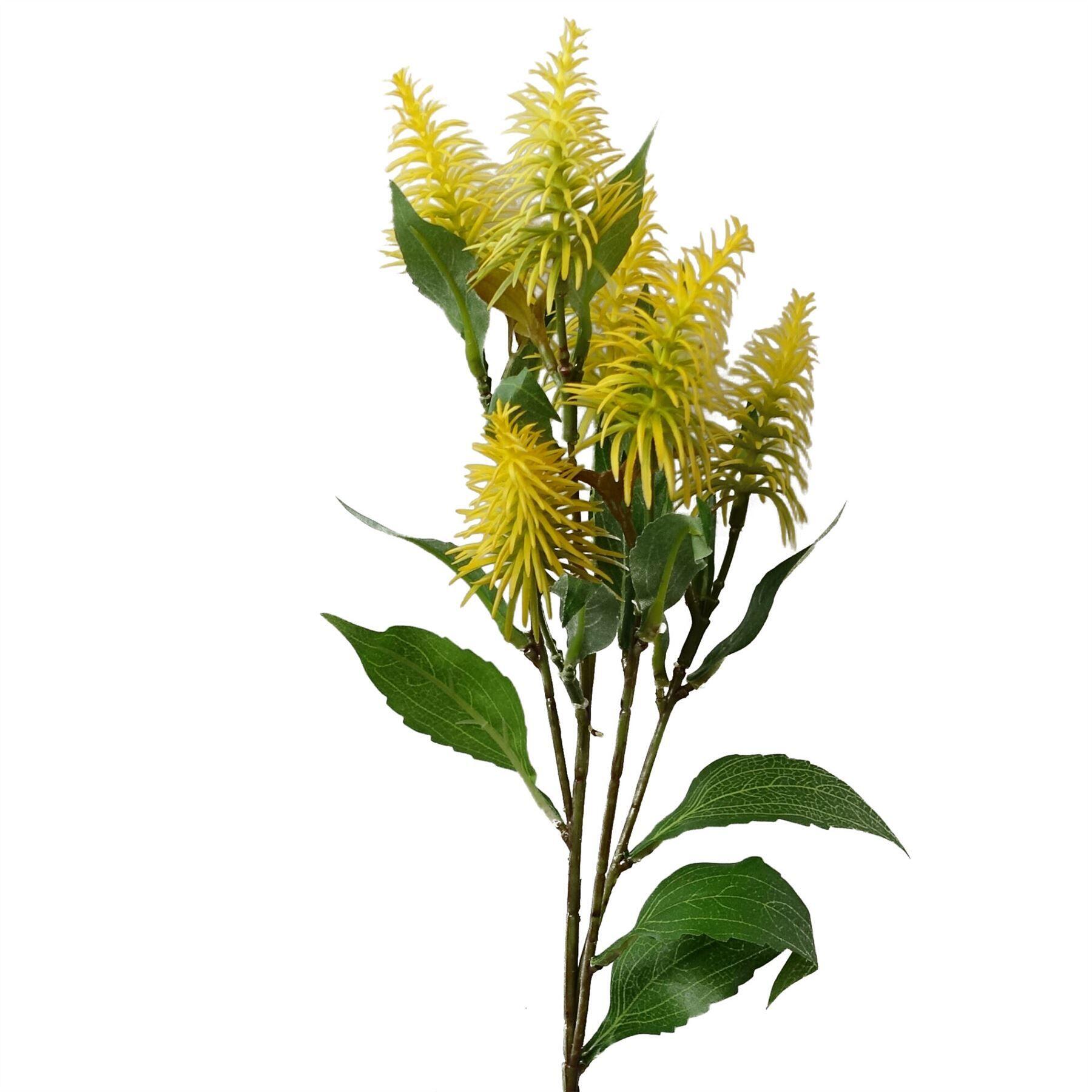 image showing 55cm callistemon pallidus yellow bottle brush stem