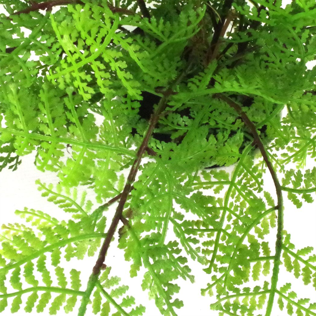 30cm Artificial Potted Lady Fern (Athyrium Filix-Femina) alternative style 3