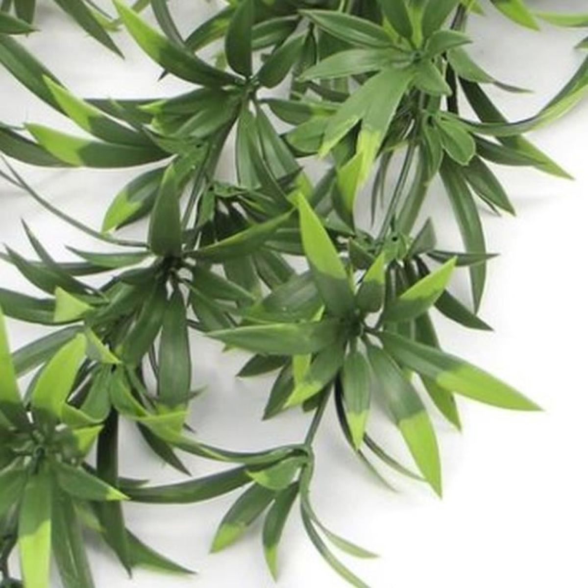 artificial plant