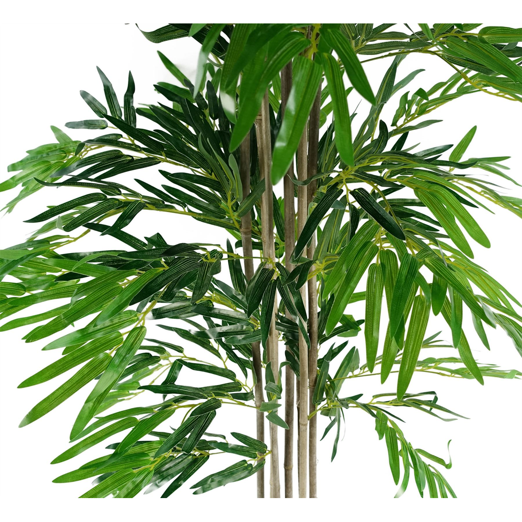 xl green trees 180cm natural (6ft) bamboo product image