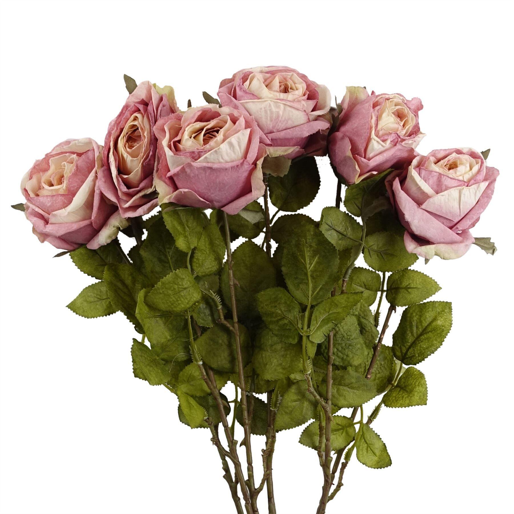 rose x 70cm of pack artificial light product image
