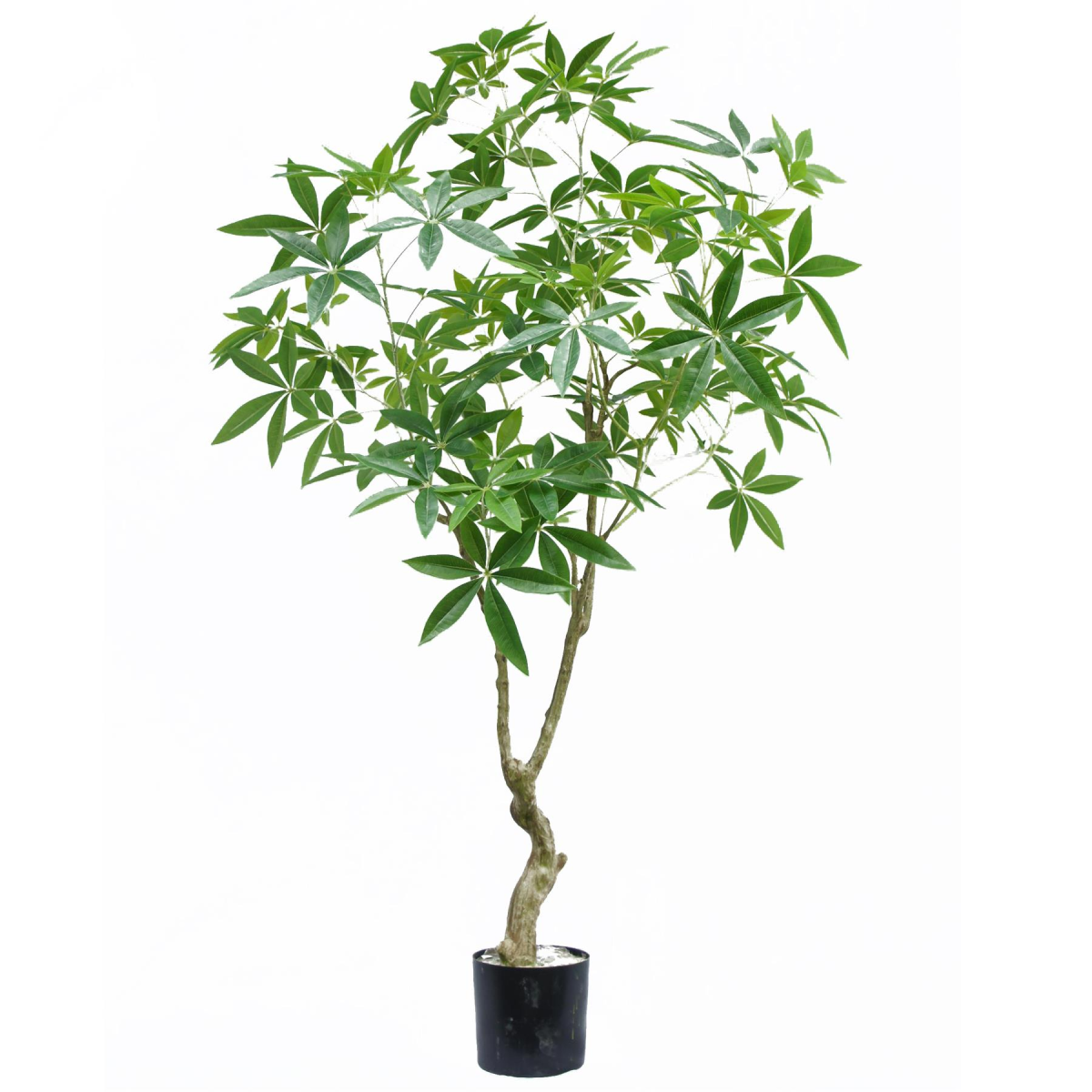 realistic artificial tree 180cm faux tree money product image