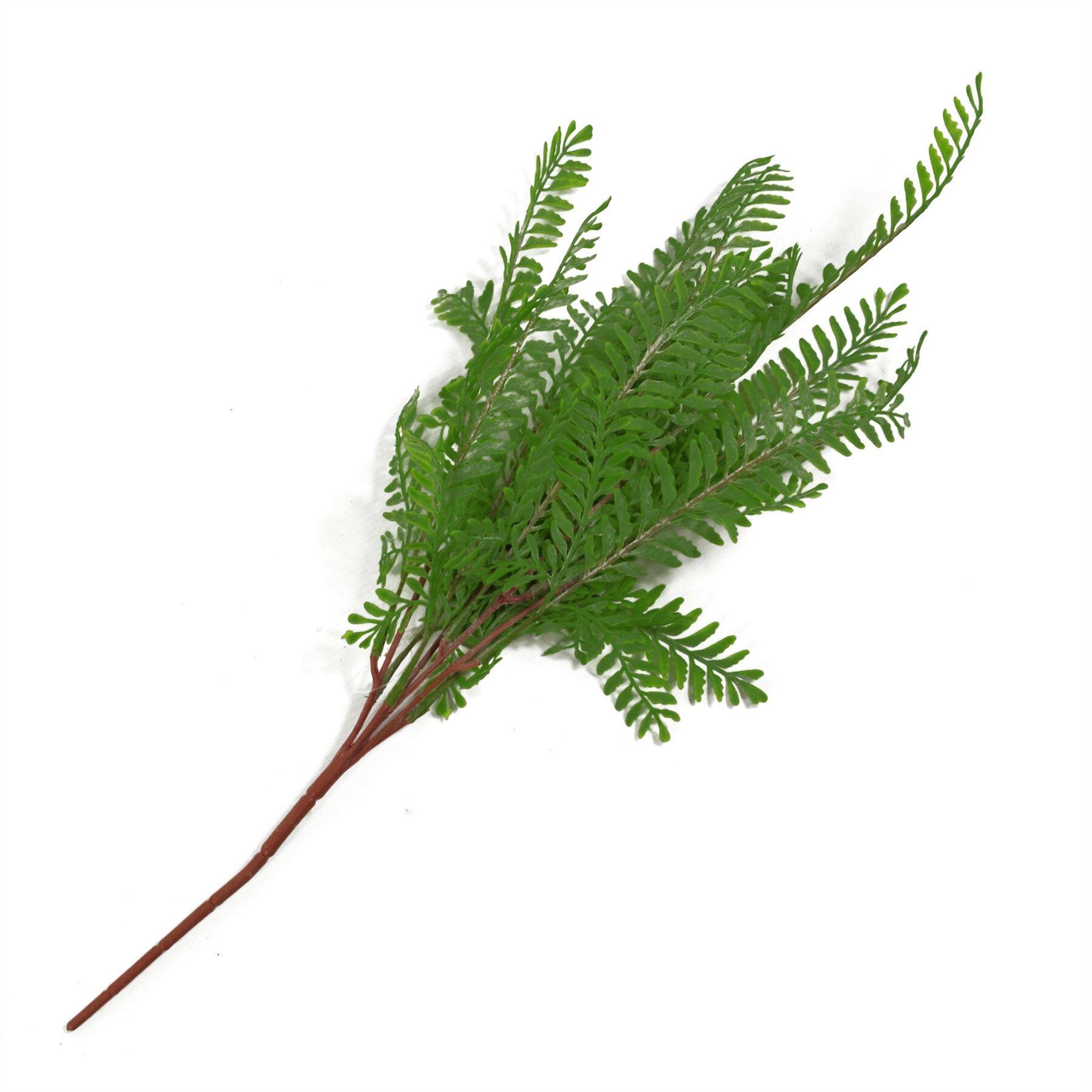 fern 55cm x plant bush green dark product image