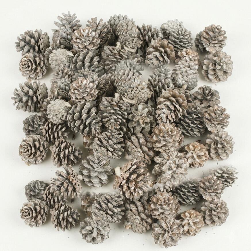 white austriaca christmas pine cones