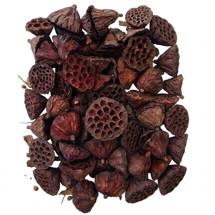 dried lotus heads for wreath making