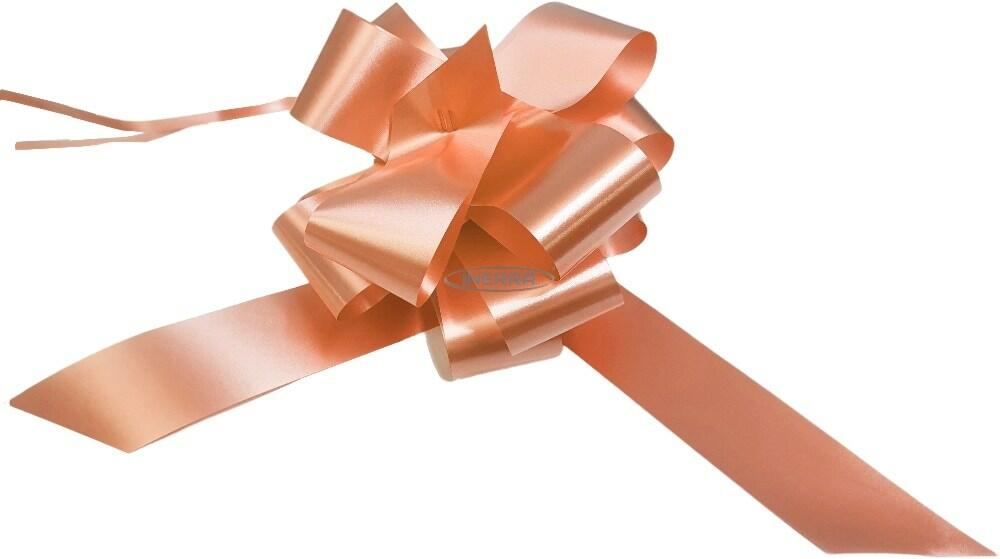 champagne wedding bows car