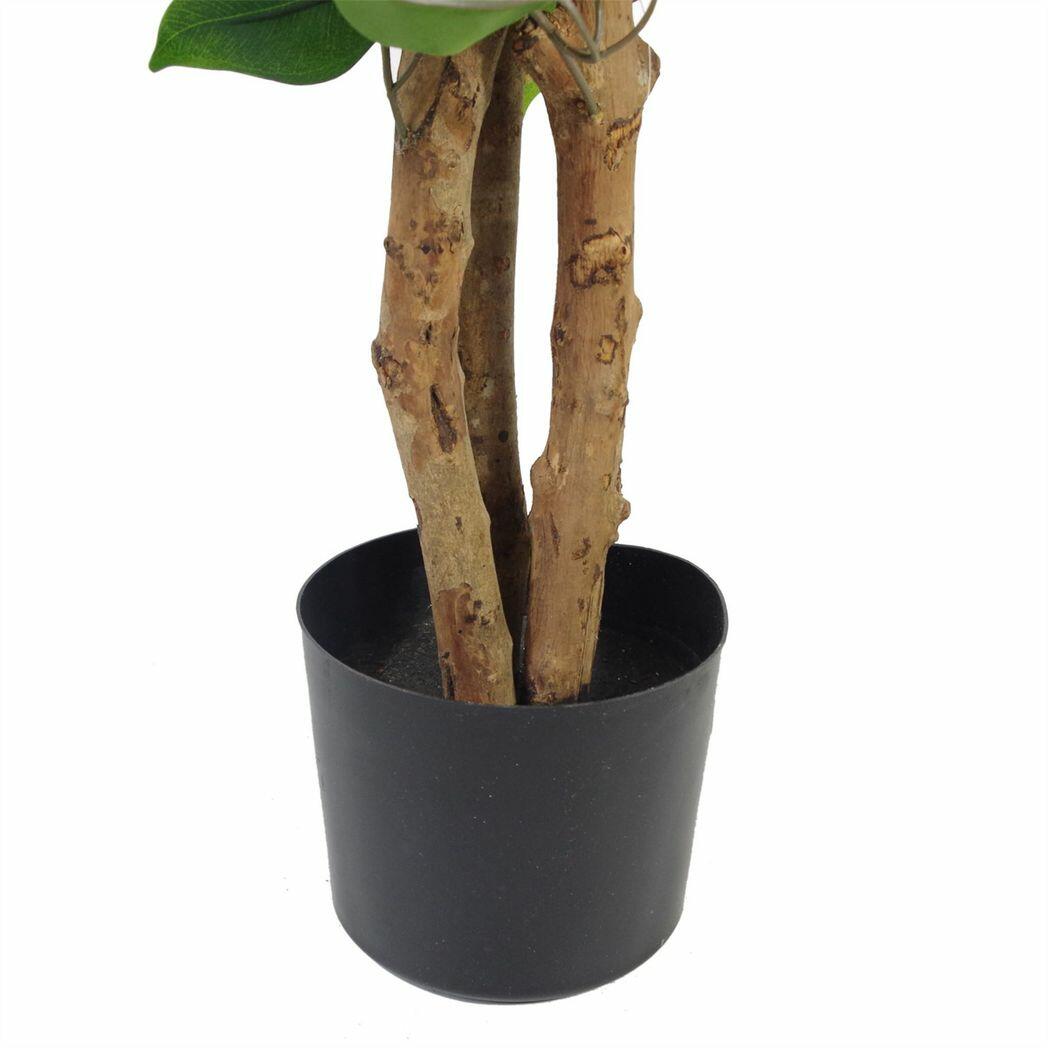 Artificial Evergreen Ficus Tree