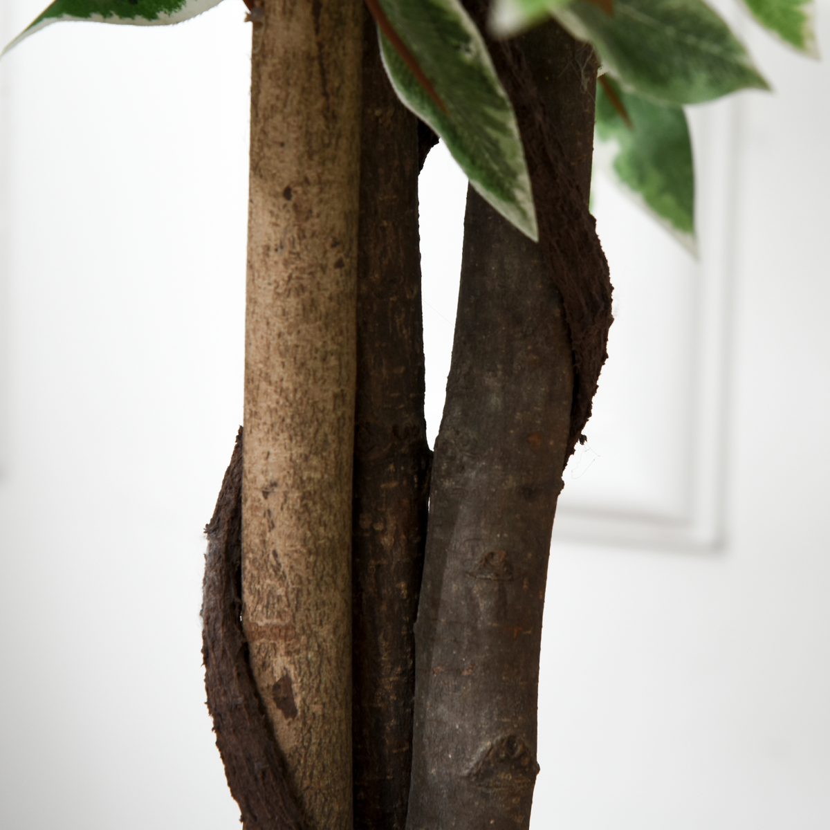 Artificial Ficus Silk Tree