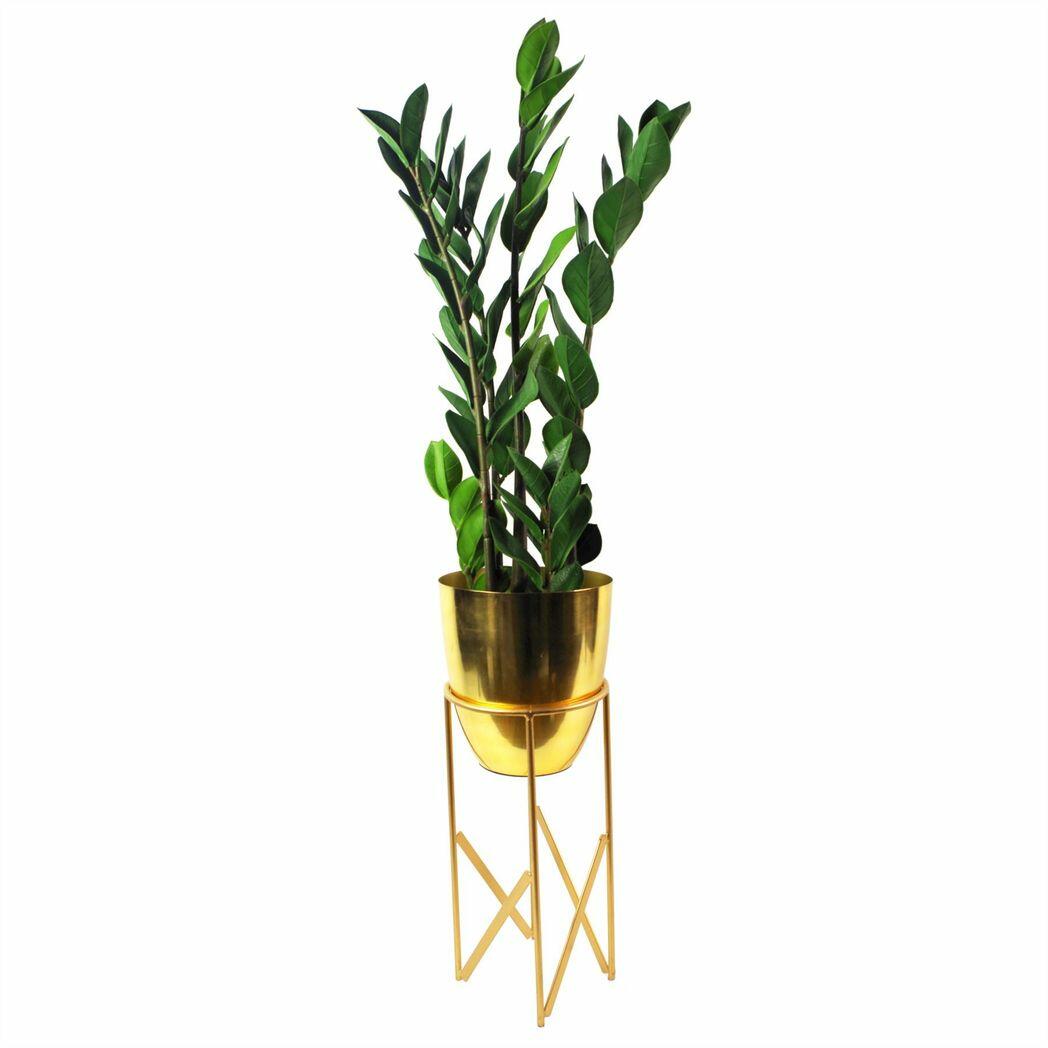 Artificial Zanzibar Green Gem Zamioculcas Succulent Indoor Plant