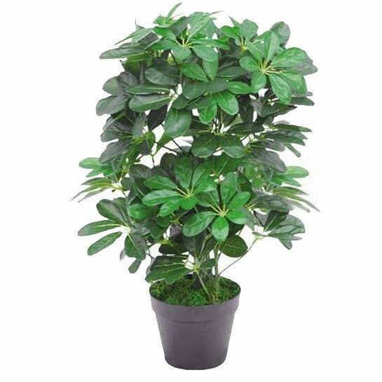 Dark Green Artificial Schefflera Arboricola Plant