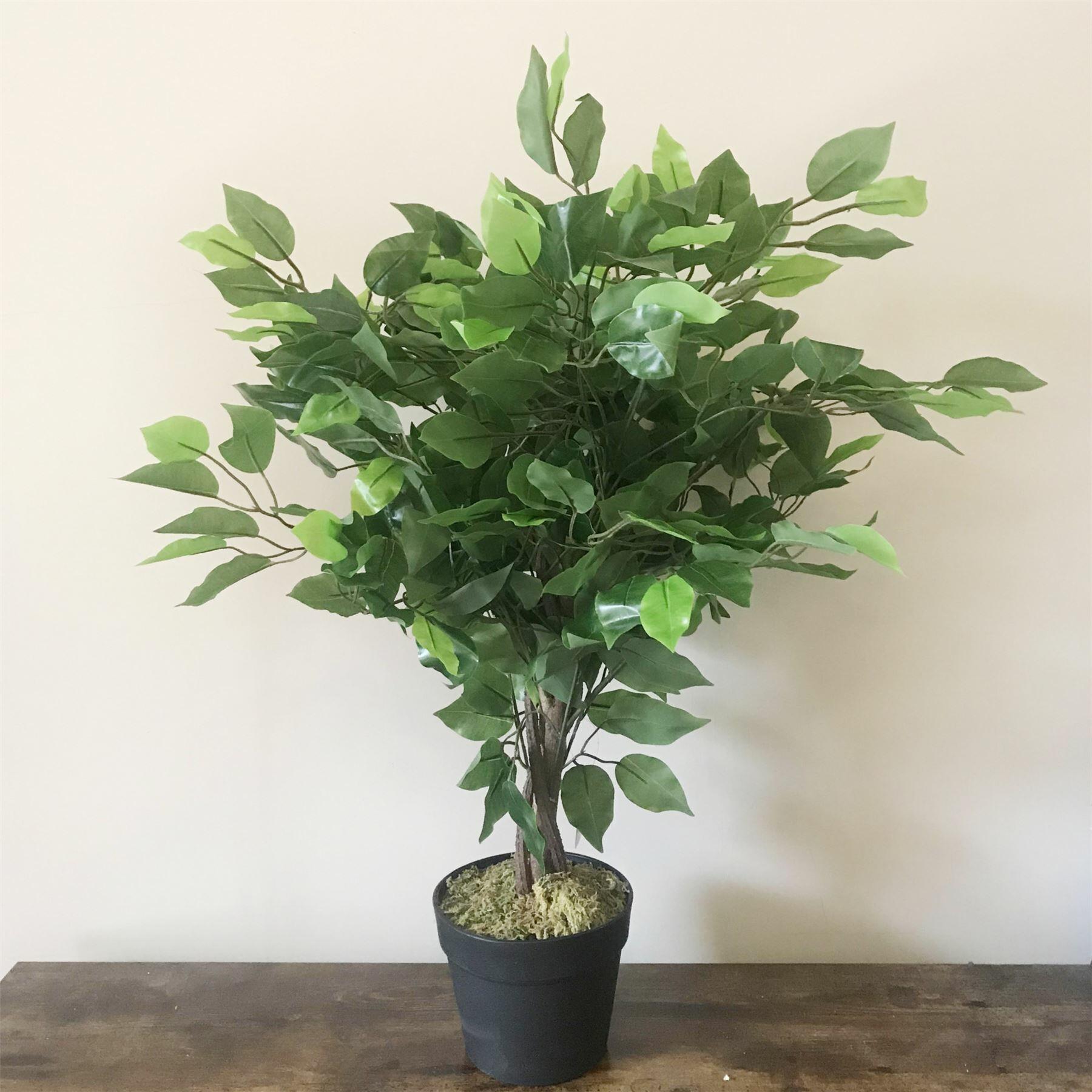 Artificial Ficus Tree